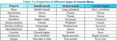 Only after their small movements were noticed in 1765. Classification Of Animal Tissues Zoology