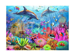 Dolphin Coral Reef Art Print Adrian Chesterman Art Com In 2020 Coral Reef Art Dolphin Art Coral Reef
