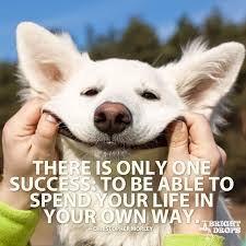 rt sam hurley there is only one success to be able to spend your life in your own way https t co 2i5u907wmz blo happy animals happy dogs funny animals