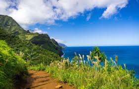 We enlarge it with new cool phone wallpapers every day. Wallpaper Mountains Coast Path Hawaii Kauai Hawaii The Na Pali Coast Images For Desktop Section Priroda Download