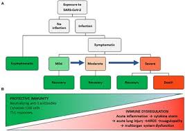 Moderate symptoms can progress into severe symptoms suddenly, especially in people who are older or who have chronic medical conditions like heart disease, diabetes, cancer or chronic respiratory problems. Frontiers Immune Response Inflammation And The Clinical Spectrum Of Covid 19 Immunology