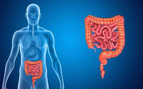 11 cách bảo vệ hệ tiêu hóa của bạn tốt nhất | Vinmec
