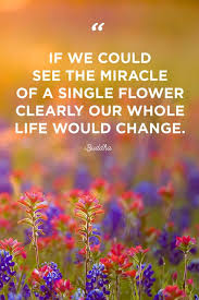 Maybe you would like to learn more about one of these? 48 Inspirational Flower Quotes Cute Flower Sayings About Life And Love