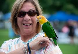 Backyard Fair in Macungie