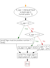 Python Exercise Calculate A Dogs Age In Dogs Years