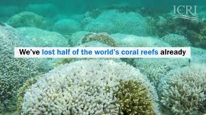 Op this helps me collect some basic information on how and where this plugin in being used. Coral Reefs Strategies For Ecosystems On The Edge International Institute For Sustainable Development
