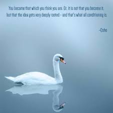 Pin By Osho International On Transformation Change Osho Spiritual Wisdom Osho Quotes
