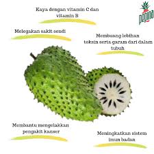 Cara pasang aircond rumah sendiri cara pembayaran kad kredit maybank cara simpan duit gaji 2000 cara pasang bateri kereta cara semai. Pekan Pina Sdn Bhd Ø¹Ù„Ù‰ ØªÙˆÙŠØªØ± Info Kesihatan Sebenarnya Khasiat Durian Belanda Terlalu Banyak Untuk Disingkap Terdapat Kajian Yang Menunjukkan Durian Belanda Dapat Membantu Mengelakkan Penyakit Kanser Dan Dikaji Sebagai Alternatif