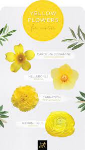 See the almanac's complete list of flower meanings and plant symbolism. 30 Types Of Yellow Flowers Ftd Com Small Yellow Flowers Yellow Flowers Names Types Of Flowers
