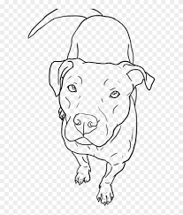 How to draw a dog face? Easy Pitbull Face Drawings Png Download Red Nose Pitbull Drawings Transparent Png 585x905 272511 Pngfind