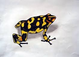 Maybe you would like to learn more about one of these? Original Animal Drawings From Pakistan For Sale Saatchi Art