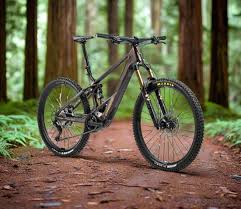Image result for Orbea umbracula