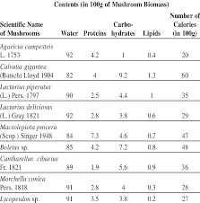 Image result for White 1977 Caloric