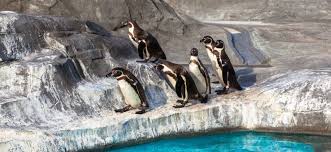 26,023 likes · 2,605 talking about this · 3,952 were here. Zoo Drazdany Dresden Zoologicke Zahrady V Nemecku
