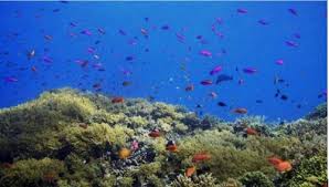 Negara monarki di asia tenggara. Pangkalan Bun Wisata Menakjubkan Dan Alami