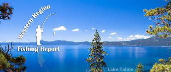 Nevada Department Of Wildlife