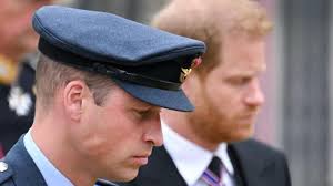 Harry e William: game over. Cronistoria per immagini di un rapporto tra  fratelli “arci nemici”