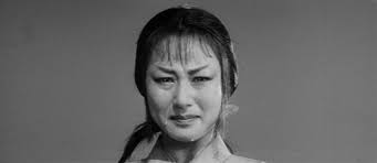 Review of Kurosawa's 'The Hidden Fortress'