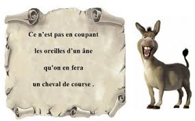 Humour du jeudi 7 avril 2016 - Chez dom