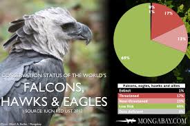 Chart The Worlds Most Endangered Falcons Eagles Hawks