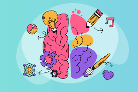 Aplicación de la neuroeducación en el aula. Cómo aprende el cerebro -  Exdintra