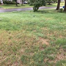 Kingstowne lawn & landscape | 106 followers on linkedin. Kingstowne Lawn Landscape 12 Photos 19 Reviews Landscaping 6461 Stephenson Way Alexandria Va Phone Number