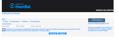 Consultar Soat Por Placa Via Internet 2020