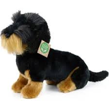 Image result for jezevčík drsnosrstý