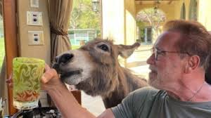 Check spelling or type a new query. Netflix Media Ziare Com Mobile