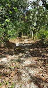 Maybe you would like to learn more about one of these? Pin On Property For Sale In Malaysia