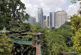 In the middle of urban congestion and skyrise concrete edifices is the tropical bukit nanas (pineapple hill) forest hill reserve. Kl Forest Eco Park With Canopy Walk Kuala Lumpur Backpacking Malaysia