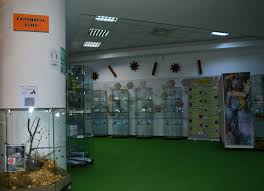 We did not find results for: DeschiÈi Permanent Muzeul De Stiintele Naturii Bacau Facebook