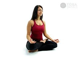 Half Lotus Lotus Pose Lotus Yoga Poses