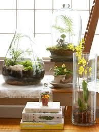 When it comes to setting up and creating a fairy garden, i think that the more natural, the better. Terrarium Fairy Garden Fairy Gardening Fairy Terrarium