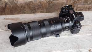 The Best Mirrorless Cameras For Wildlife And Bird Photography 2021 Round Up Mirrorless Comparison