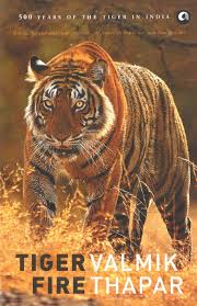 Woods is widely regarded as one of the greatest golfers of all time and one of the most famous athletes in history. Tiger Fire 500 Years Of Tigers In India 500 Years Of The Tiger In India Thapar Valmik Amazon De Bucher
