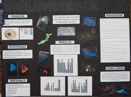 Biology Science Fair Projects For 11th Grade Bioluminescence Investigating Glow In The Dark Dinoflagellates Science Project Science Projects Science Fair Projects Science Fair