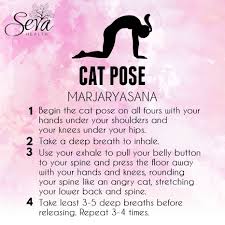 Pin By Twr Massage On Cat Cow Pose In 2020 Cat Cow Pose Cat Stretching Cat Pose
