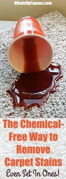 The Only Ingredient You Need To Remove Carpet Stains Even Set In Ones Diy Carpet Stain Remover Stain Remover Carpet Carpet Stains