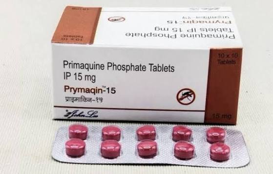 Primaquine Tablet 15Mg at ₹ 59/piece | Kumbharia | Surat | ID: 2856510696630