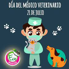 Día del veterinario en argentina. 8 Ideas De Veterinario Dia Del Veterinario Dia Del Medico Veterinario Veterinario Medico