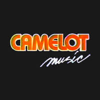 I did all of it. Camelot Music Retail Store Linkedin