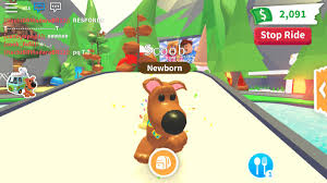 › twitter.com › hashtag › adoptmecodes. Medi Loves Adopt Me Adoptmedi Twitter