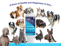 Let's face it, they're not good tooth brushers. Pet Essential Healthymouth