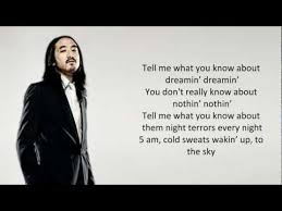 Kid Cudi Pursuit Of Happiness Steve Aoki Remix Lyrics Steve Aoki Lyrics Pursuit Of Happiness
