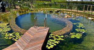 The fact is that its functioning is. Diy Pool How To Build A Natural Swimming Pool