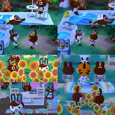 Jun 23, 2021 · o'hare is a rabbit villager in animal crossing: Pretty Sure O Hare And Carmen Are In Love With Each Other Acpocketcamp