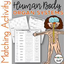Savesave cut and paste parts of body for later. Human Body Organs Cut And Paste Worksheets Teaching Resources Tpt