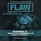 Flaw event image