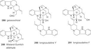 Image result for Strychnos kasengaensis